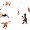 Kitten Pet Teaser Feather Wire Toy