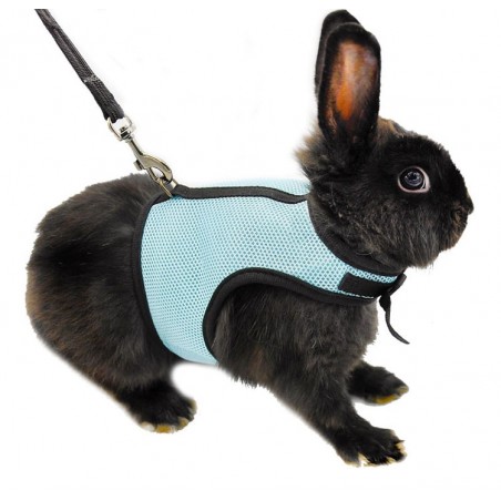 Conjunto de Harness e Leash de Coelho Hamster