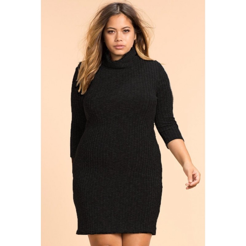 Plus Size High Neck Casual Winter DressPlus Plus Size High Neck Casual Winter DressPlus