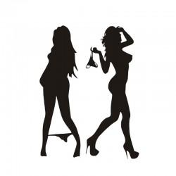 Mulher sexy em roupa interior adesivo preto / prata