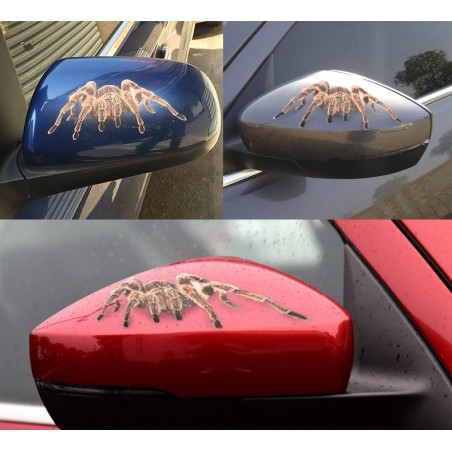 3D spider & escorpion & lagarto - autocolante - decalque