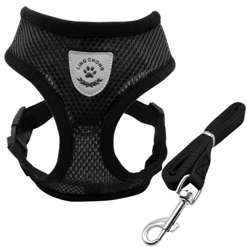 Puppy & cão respirável nylon malha chicote & leash conjunto Puppy & cão respirável nylon malha chicote & leash conjunto