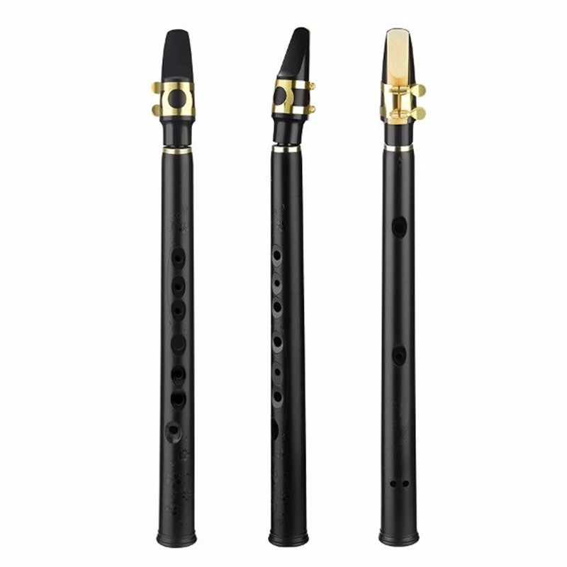 8 holes mini alto saxophone with mouthpiece tune BSaxophones