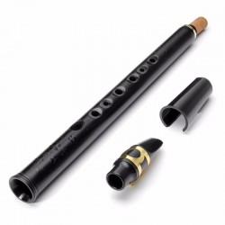 8 holes mini alto saxophone with mouthpiece tune BSaxophones