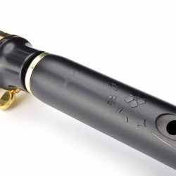 8 holes mini alto saxophone with mouthpiece tune BSaxophones