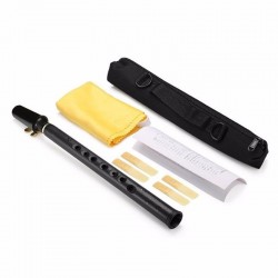 8 holes mini alto saxophone with mouthpiece tune BSaxophones
