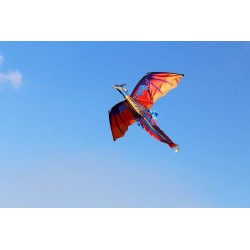 Dragão voador colorido - kite - 140 * 120cm