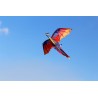 Dragão voador colorido - kite - 140 * 120cm