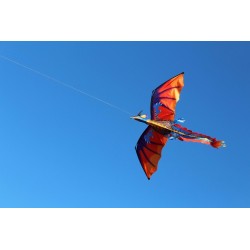 Dragão voador colorido - kite - 140 * 120cm