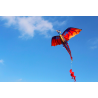 Dragão voador colorido - kite - 140 * 120cm