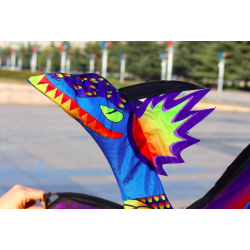 Dragão voador colorido - kite - 140 * 120cm