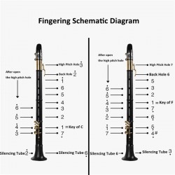 C / F tom mini saxofone