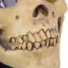 Caveira - máscara de látex de cara cheia para halloween