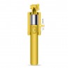 Extendable handheld selfie stick - monopodAccessories
