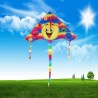 Triângulo sorrindo rosto - kite 80 cm