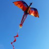 3D dragon kite with tail & line 100mKites