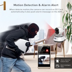 Security IP wireless camera - smart WiFi with 32GB SD cardSecurity cameras