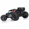 FS Racing FS33675P 1/8 2.4G 4WD - brushless - à prova d'água - buggy deserto - carro RC