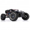 FS Racing FS33675P 1/8 2.4G 4WD - brushless - à prova d'água - buggy deserto - carro RC