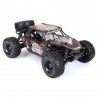 FS Racing FS33675P 1/8 2.4G 4WD - brushless - à prova d'água - buggy deserto - carro RC
