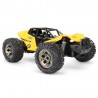 RCTBOX 1/12 2.4G 2WD - alta velocidade 25km/h - RC carro - deserto buggy