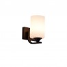E27 LED base - wall lamp with single and double headE27