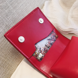 Small elegant bag with bow & chainBags
