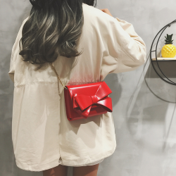 Small elegant bag with bow & chainBags