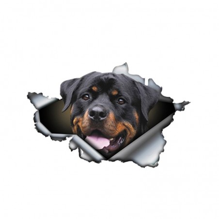 3D Rottweiler - adesivo de carro de vinil - 13 * 8.4cm