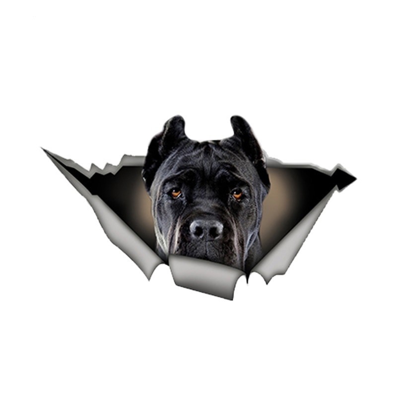Cachorro preto - adesivo de carro de vinil - à prova d'água 13 * 7,6cm