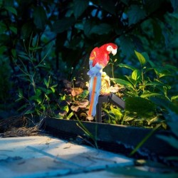 Solar alimentado papagaio LED - luz do jardim