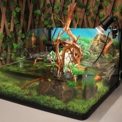 Árvore natural tronco derivawood - aquário & planta do tanque de peixe - decoração de madeira