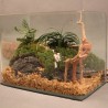 Natural tree trunk driftwood - aquarium & fish tank plant - wooden decorationAquarium