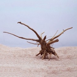 Árvore natural tronco derivawood - aquário & planta do tanque de peixe - decoração de madeira
